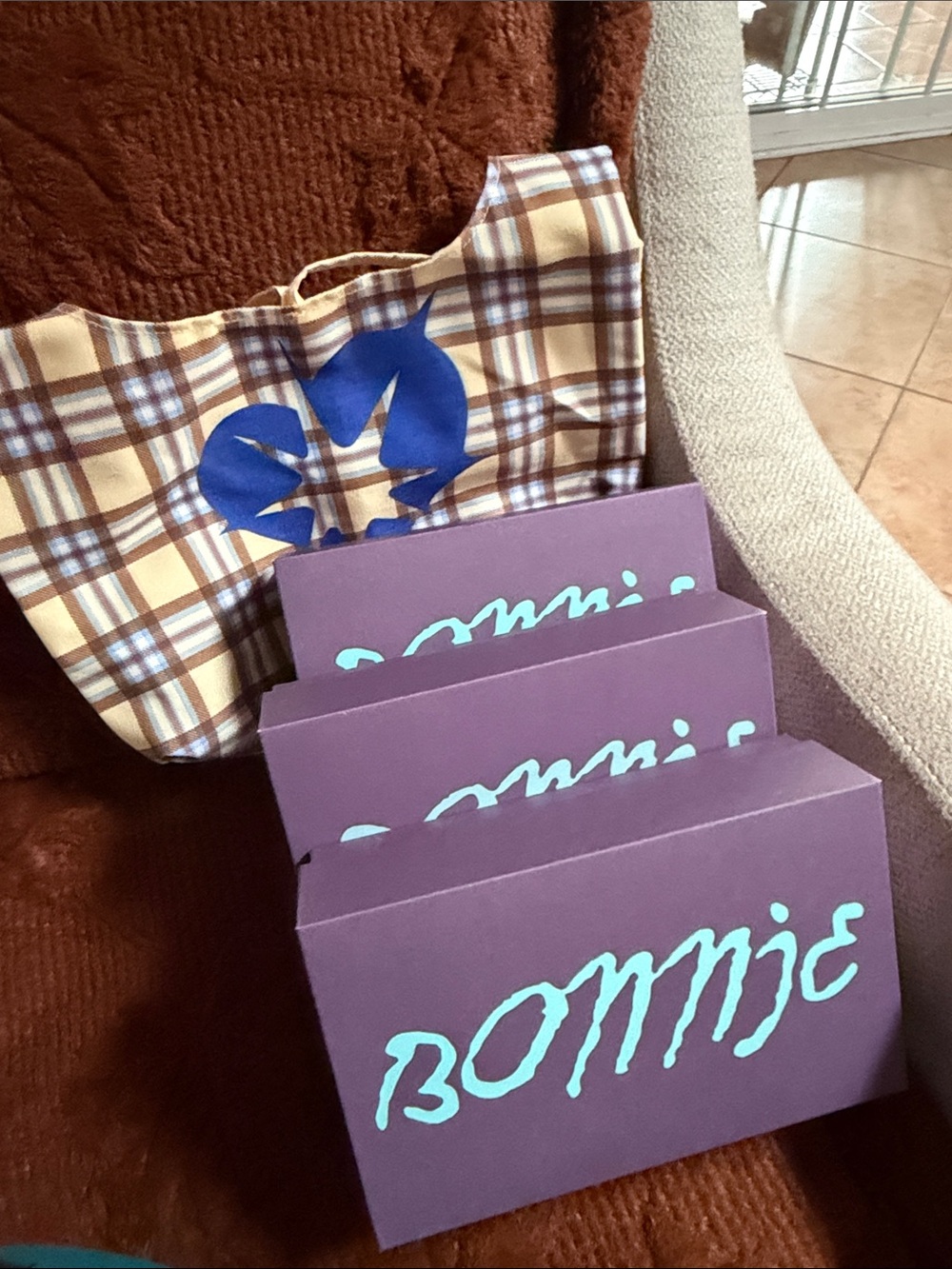 Bonnie Clyde bag, glasses box and cushion